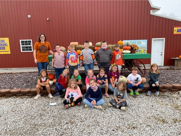 pumpkin patch