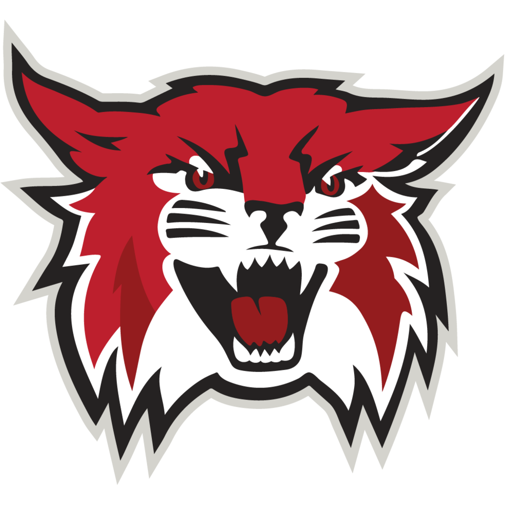Willow Grove Wildcat logo